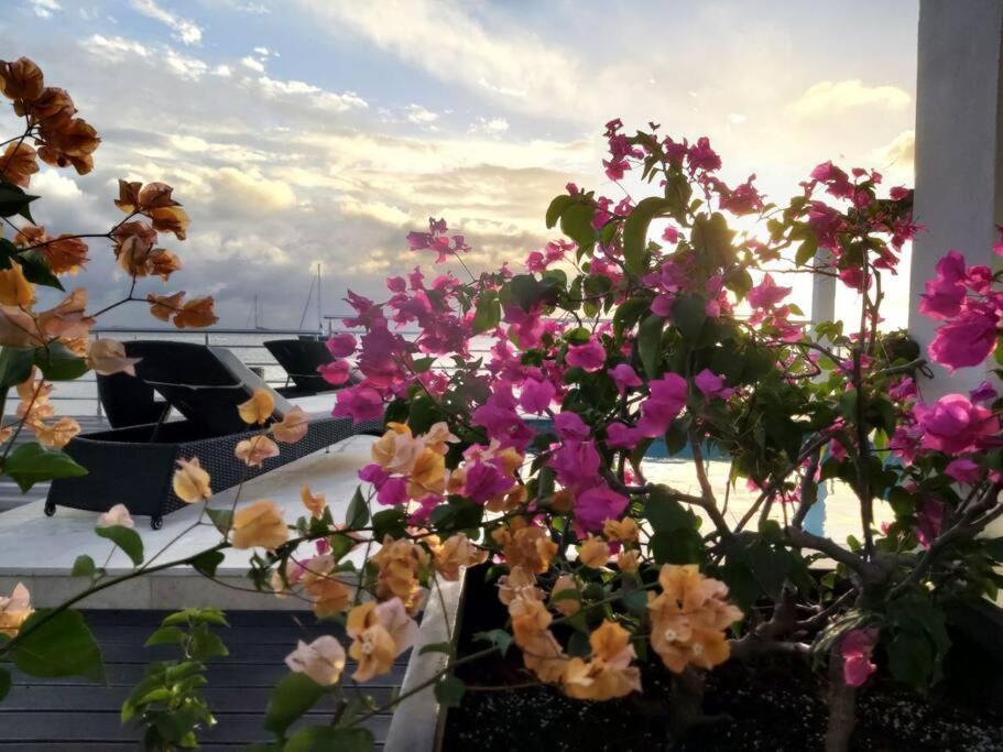 Tradewinds Apartments Simpson Bay Εξωτερικό φωτογραφία